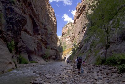 Zion Narrow and Vegas