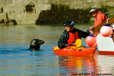 Seal and fishermen.jpg
