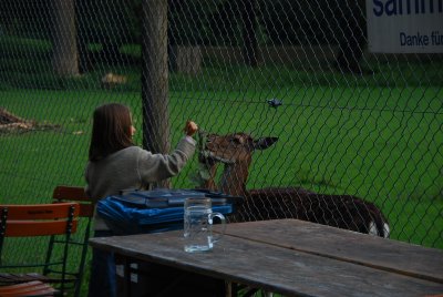 Herschgarten_09.jpg