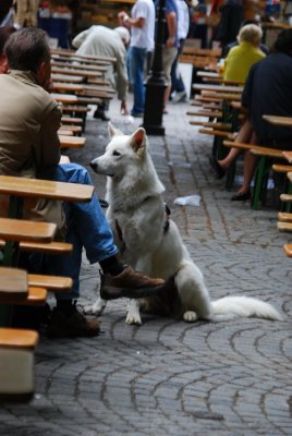 Munich Beer Garten_22.jpg