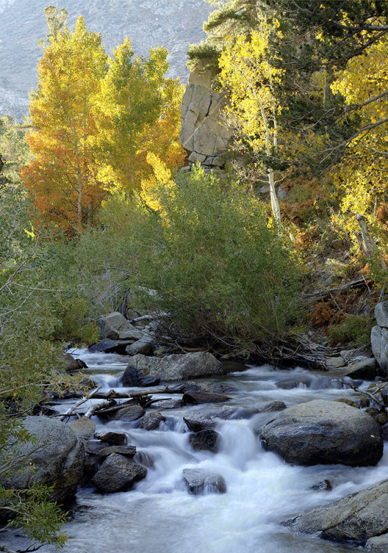 Bishop Creek