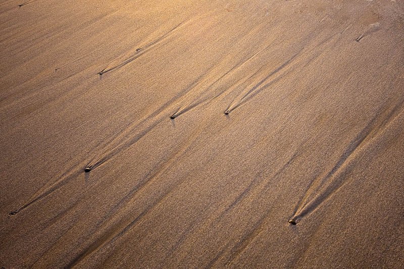 North Coast Beach