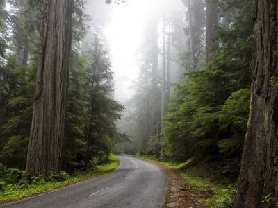Traveling through the Redwood Empire, California North Coast