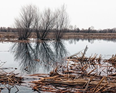 San Luis National Wildlife Refuge