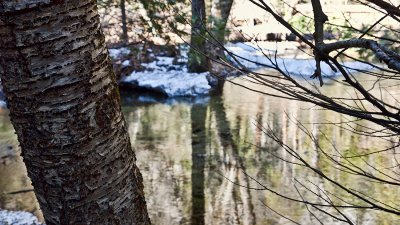 Yosemite Creek