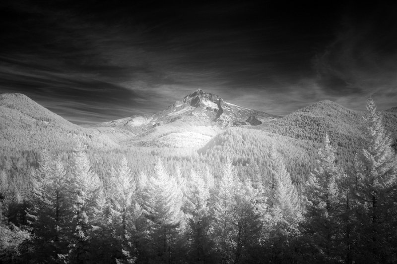 Mt. Hood from Lolo Pass