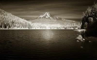 Mt. Hood from Trilium Lake sepia tone