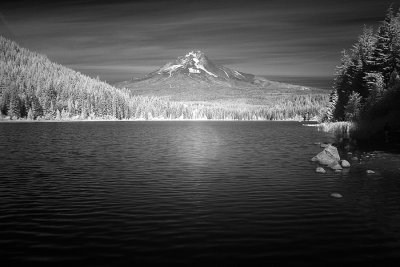 Mt. Hood from Trilium Lake