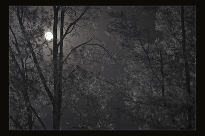 Moon lit
