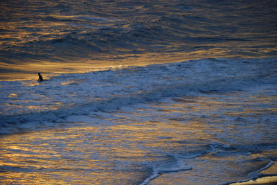 Dawn surfer