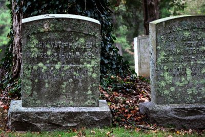 Fairview Cemetery (D7000)