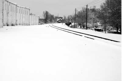 Tracks in the snow