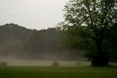 Mist after storm