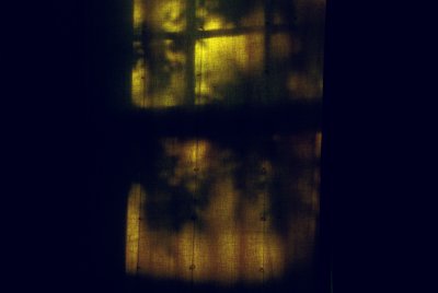 Window, late afternoon