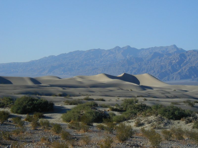 Dunes