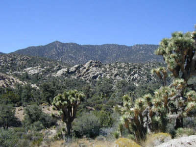 the last of the high desert's exposed rocks