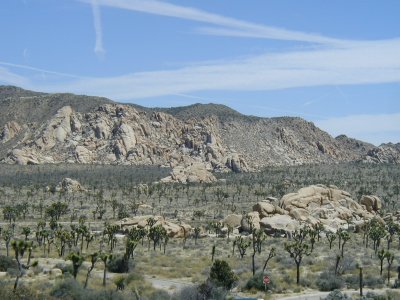 Joshua Tree mtns