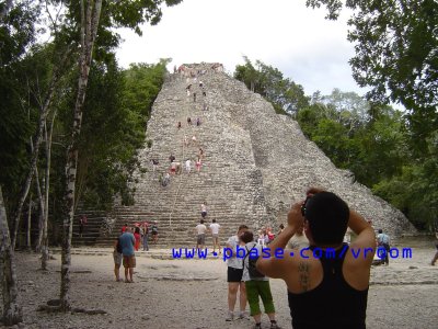 g1/17/786217/3/106370087.2fIyiXAR.jpg