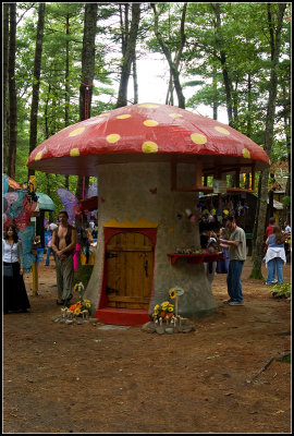 Toadstool Shop