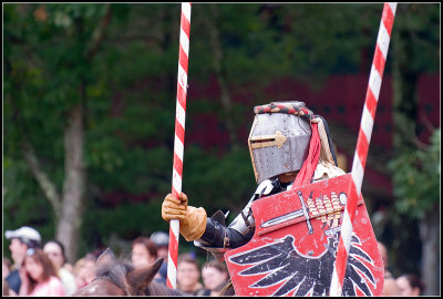 Jousting Tournament IV