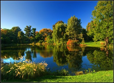 Pond Reflections, Autumn
