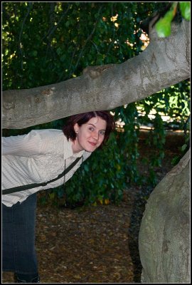 In the Weeping Beech