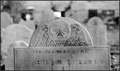 Winged Skull