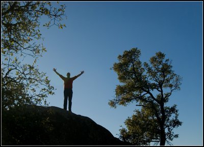 Dennis Silhouetted