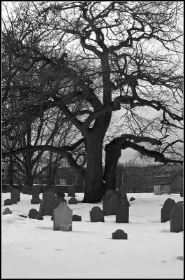 Cemetery in Winter II