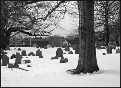 Cemetery in Winter III
