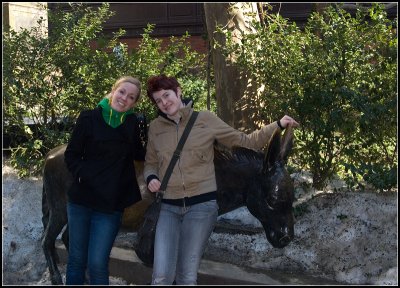 With the Donkey I