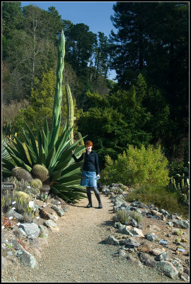 At the Botanical Garden