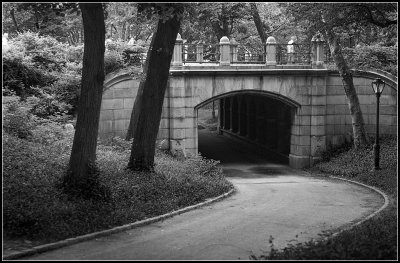 Bridge in Central Park