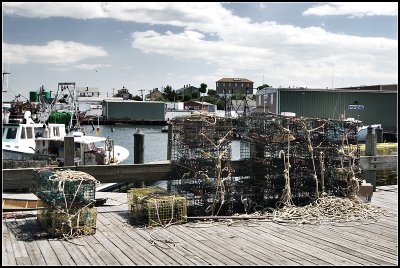 Lobster Traps I