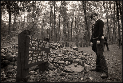 For My Hypothetical Album Cover