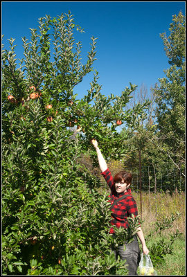 Picking an Apple