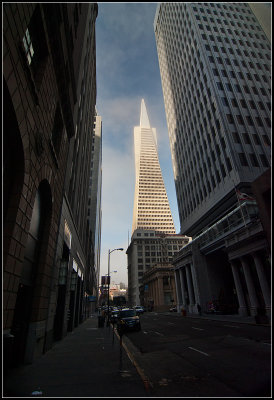 Transamerica Pyramid in the Fog
