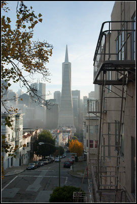 Transamerica Pyramid from Telegraph Hill