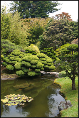 Tea Garden Stream