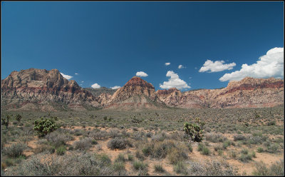 Bridge Mountain V