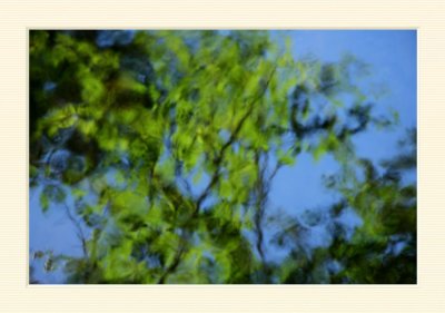 Reflet de nature