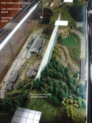 dk Overhead view two-sided N scale layout.jpg