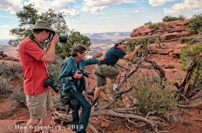 How Many Photographers Does It Take to Photograph a Lizard?