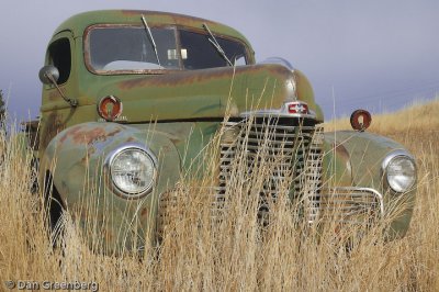 Late 40s International in a field