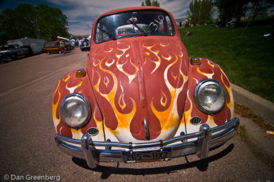 Volkswagens on the Green, 2008