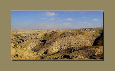 _DSC5873_f.jpg
