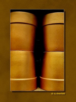 _DSC6039_f.jpg