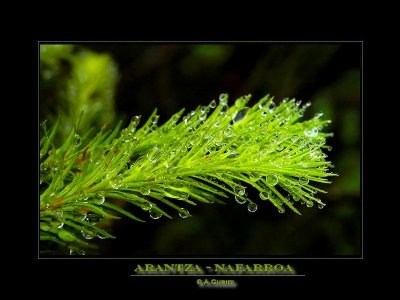 _DSC6550_f.jpg