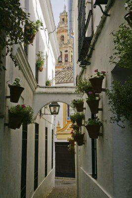 Callejon de las flores I.jpg