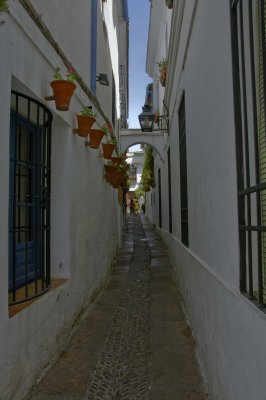 Callejon de las flores.jpg